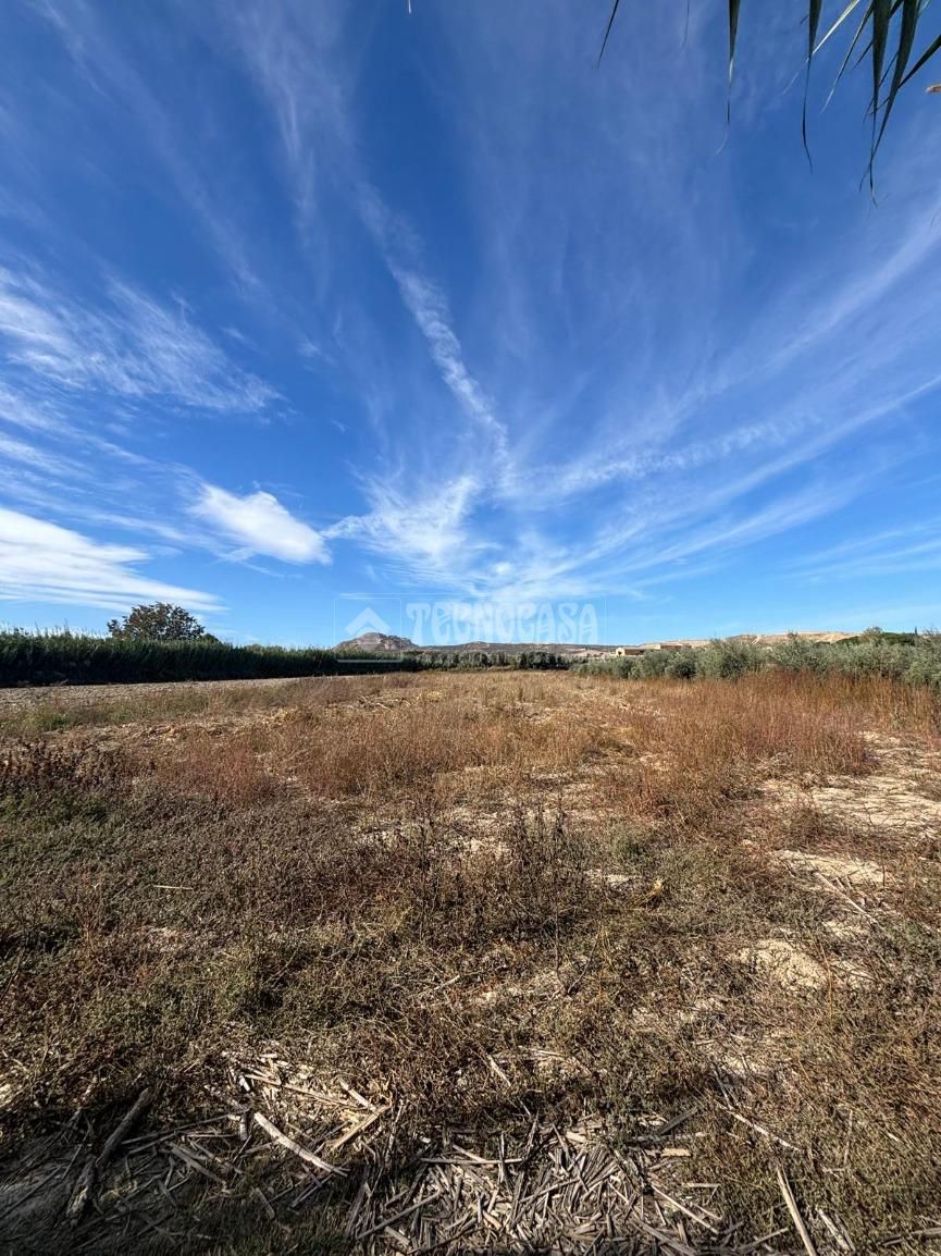 Land for sale in Alhendín