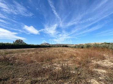 Terrain rustique à vendre à Ayuntamiento