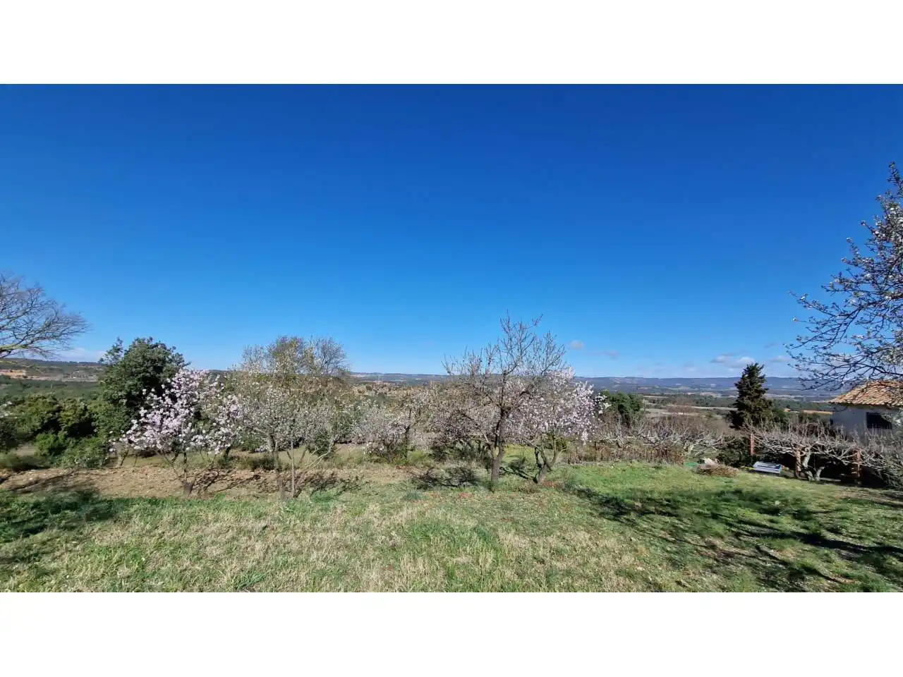 Houses for sale in Vimbodí i Poblet  with Heating, Private garden and Swimming Pool