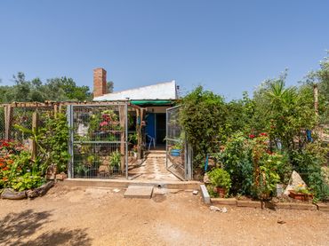 Terreno rustico in vendita a Camí Miliana 1