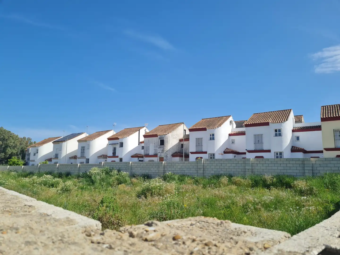 Terreny residencial en venda a Calle Murillo 107, imagen 6