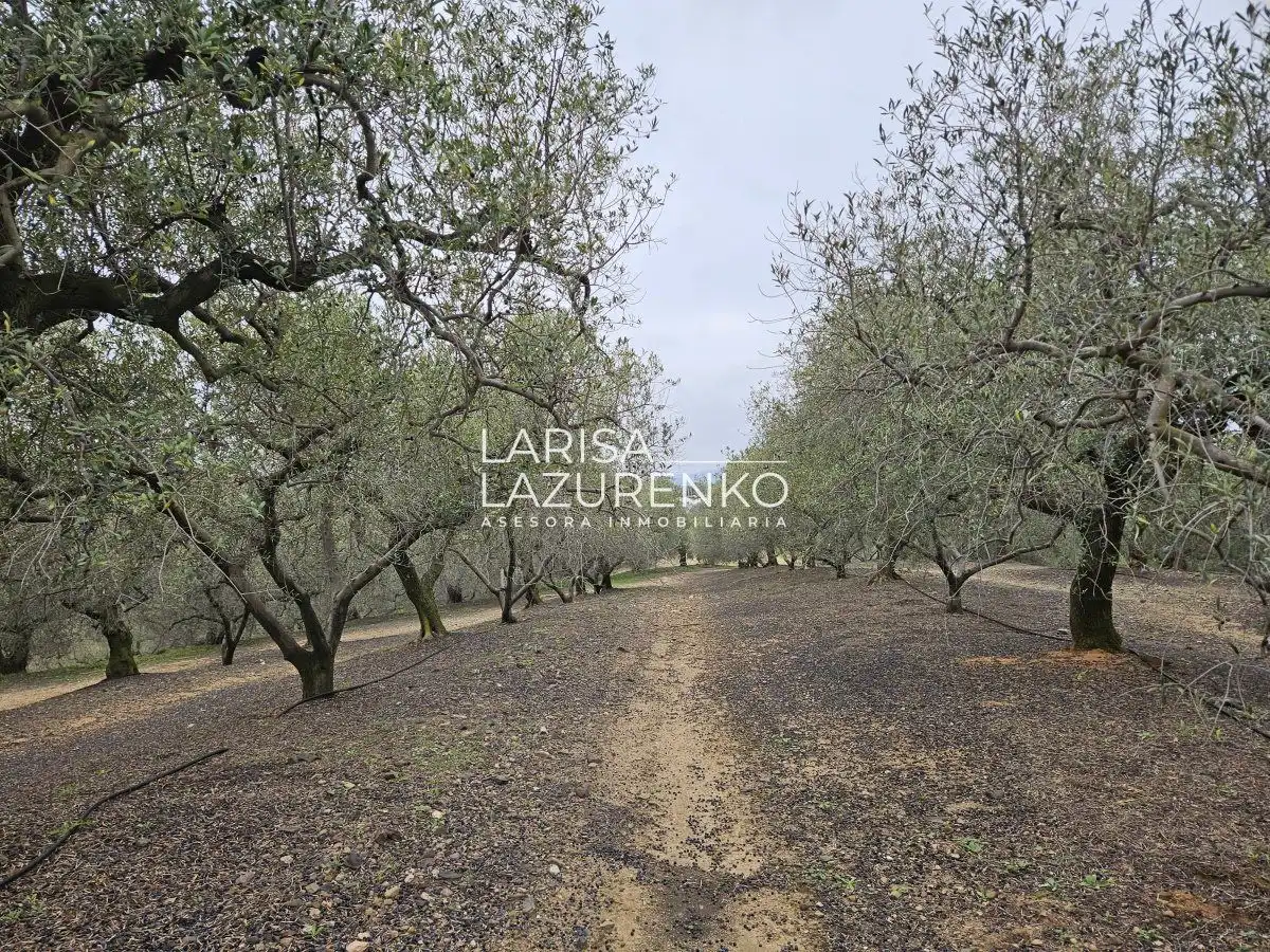 Finca rústica en venda en Riudoms