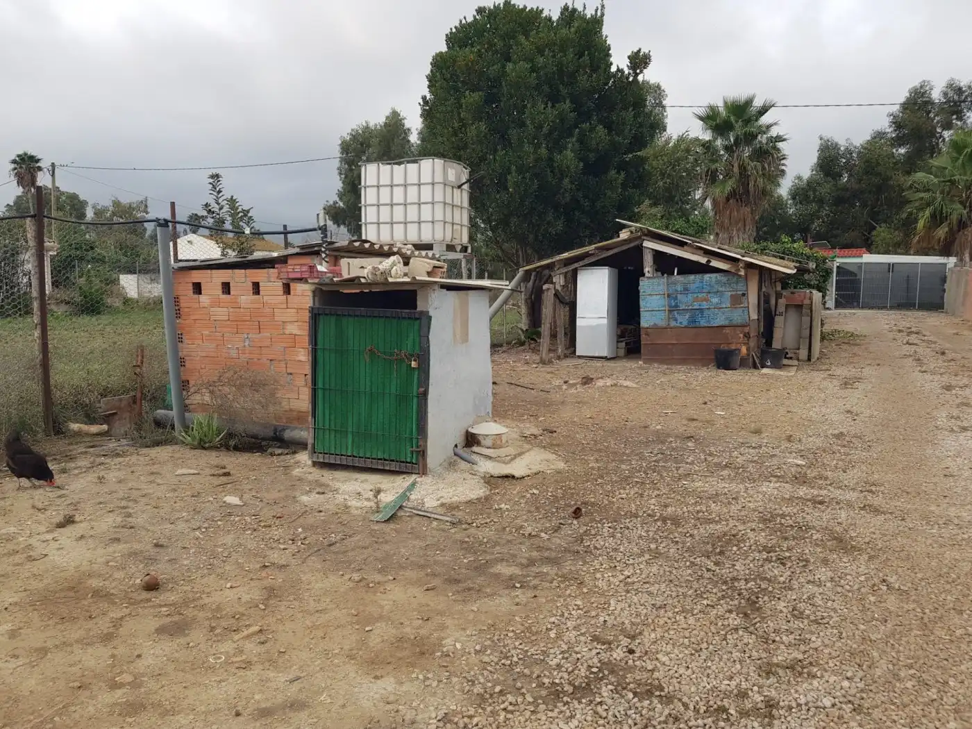 Maison rustique à vendre à Eucaliptus- Poble Nou del Delta, imagen 42