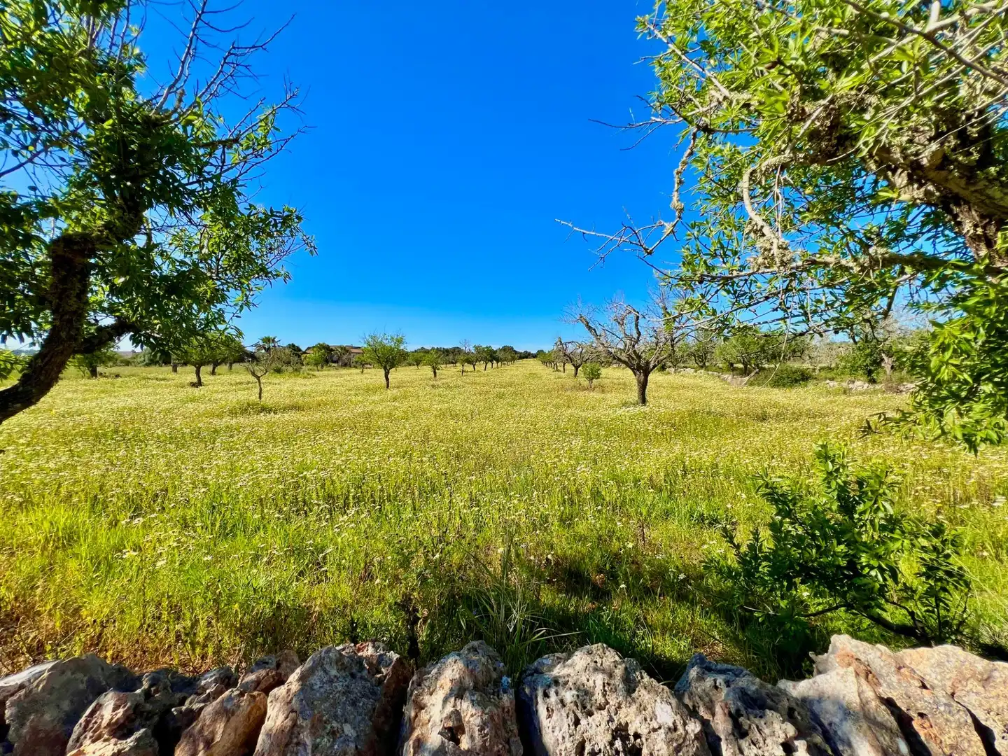 Residencial en venta en Santanyí