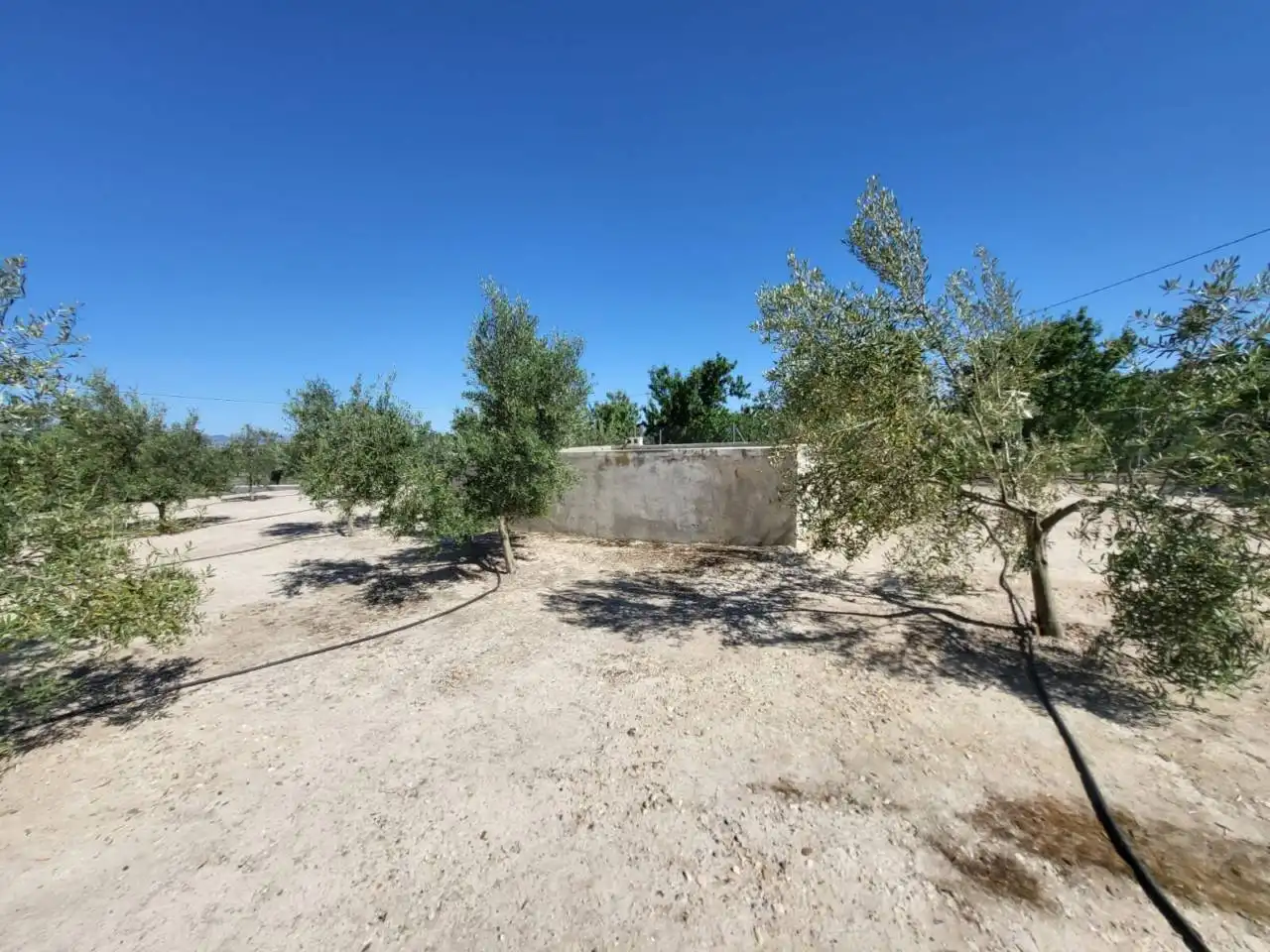 Landhaus zum Verkauf in Baza, imagen 15