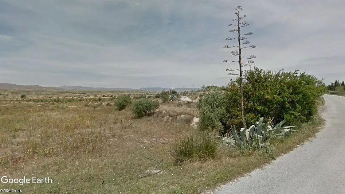 Terreno residencial en venta en Huércal-Overa, imagen 6