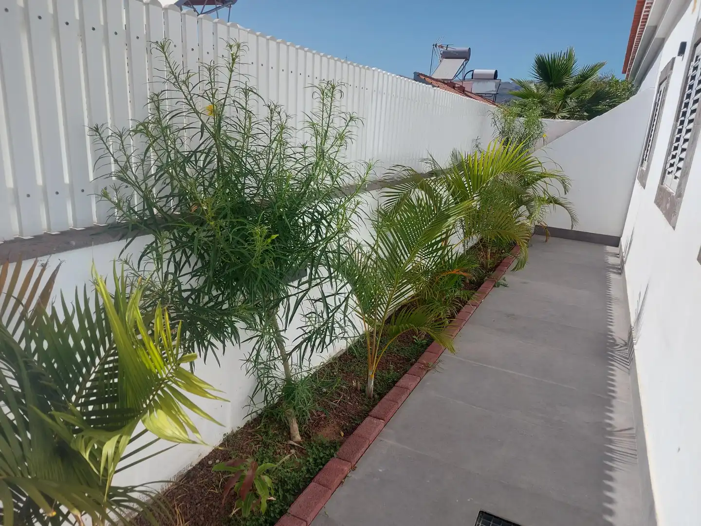 Vista exterior de Casa o chalet en venta en San Bartolomé de Tirajana con Aire acondicionado, Jardín privado y Terraza