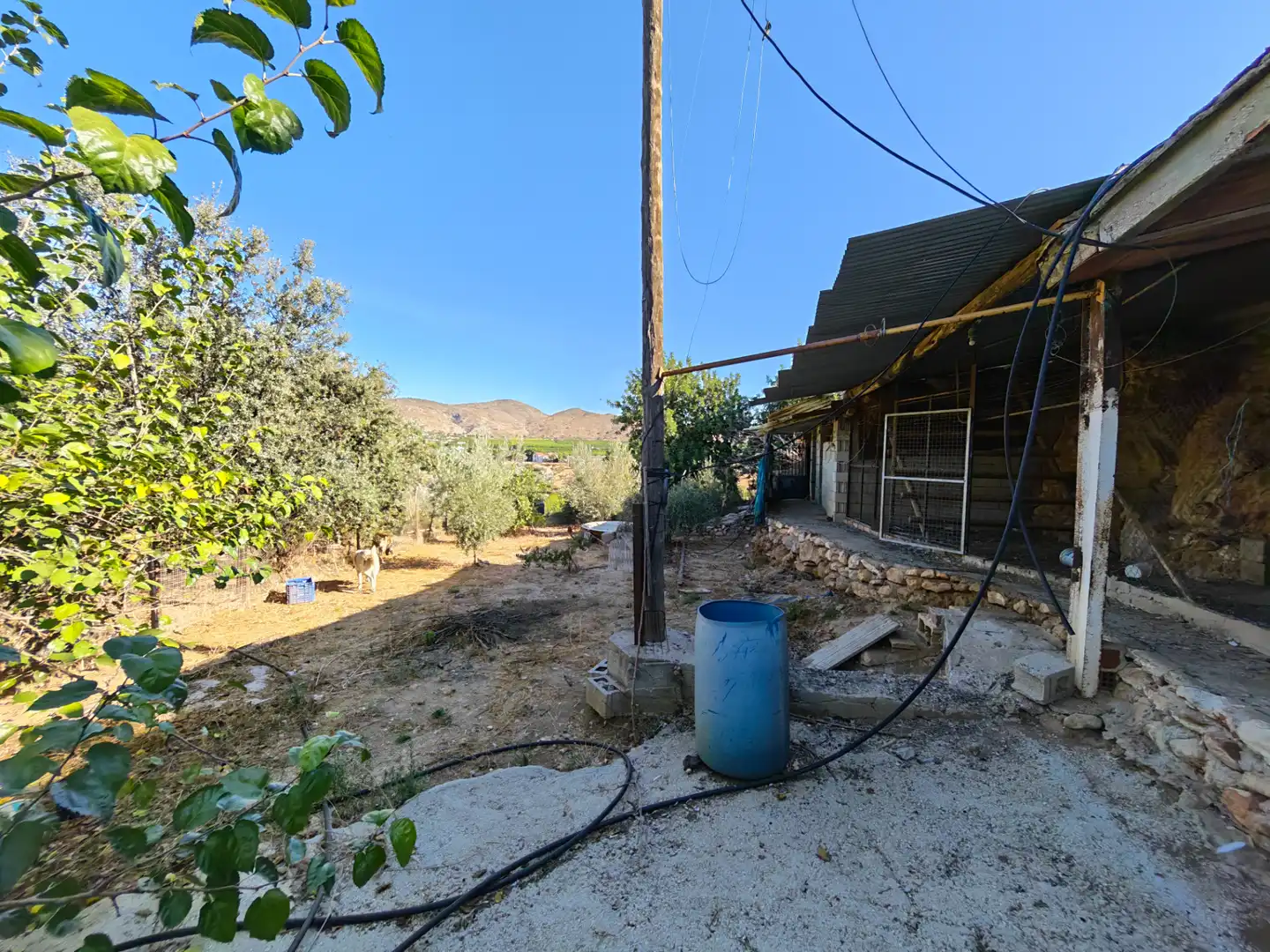 Casa rústica amb jardí en venda a Alquería - Torrealquería, imagen 43