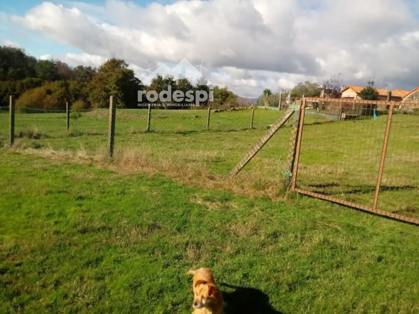 Rural land for sale in Covelo, imagen 5
