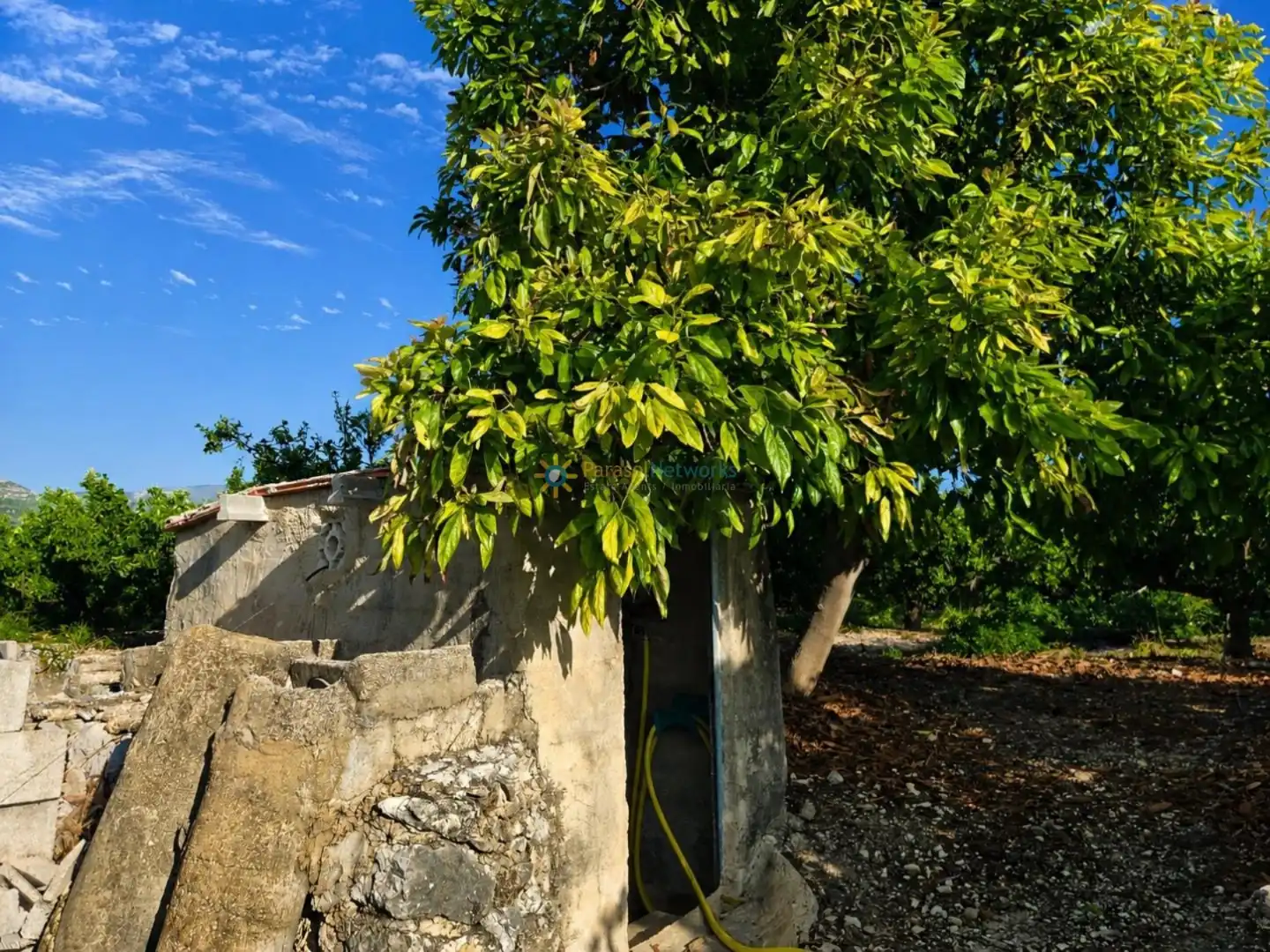 Rural land for sale in Pego, imagen 3