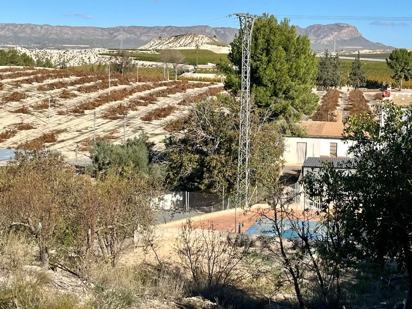 Vista exterior de Casa o chalet en venta en Cieza con Calefacción, Jardín privado y Trastero