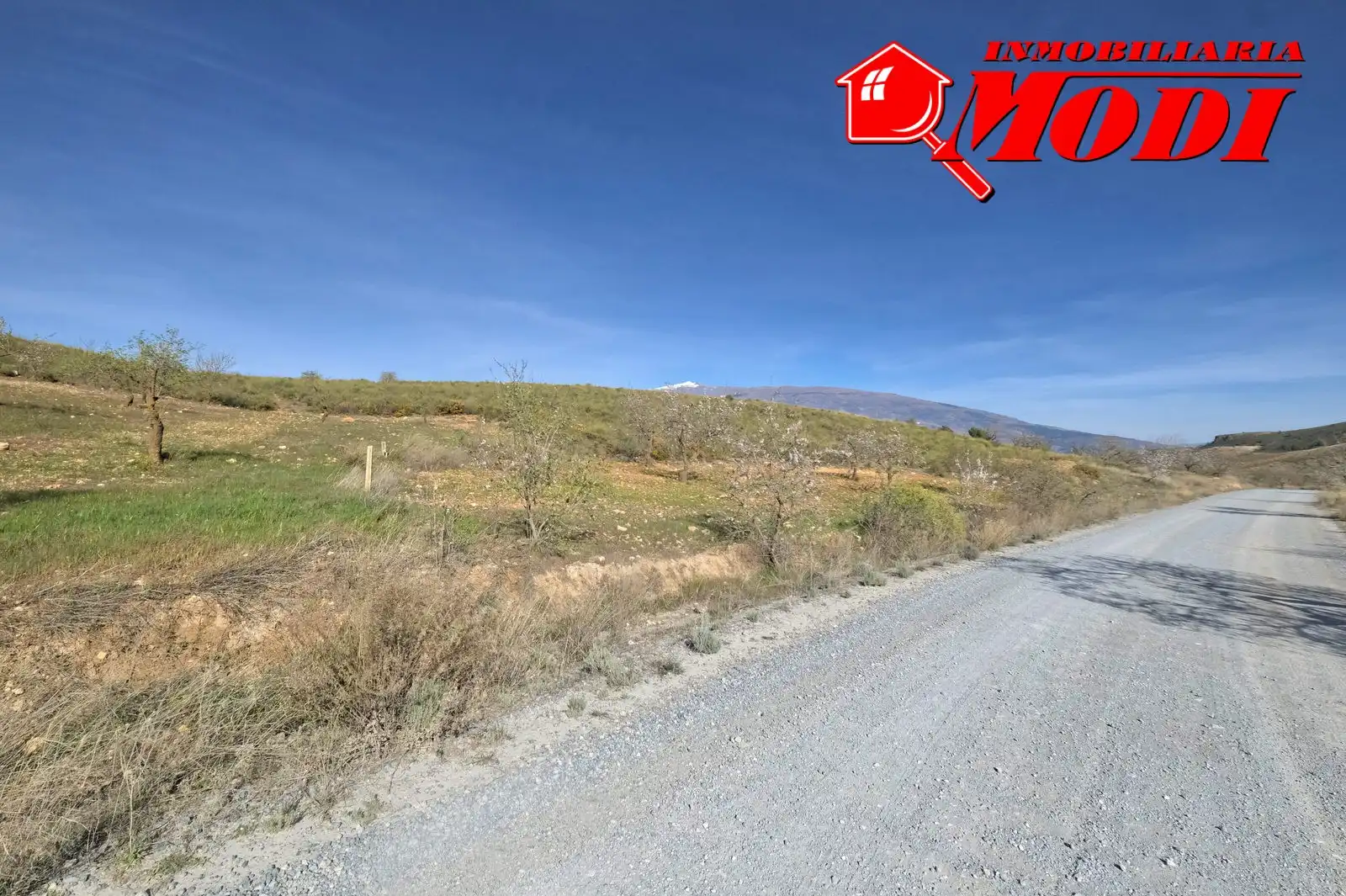 Terreni e lotti in vendita a El Valle, imagen 7
