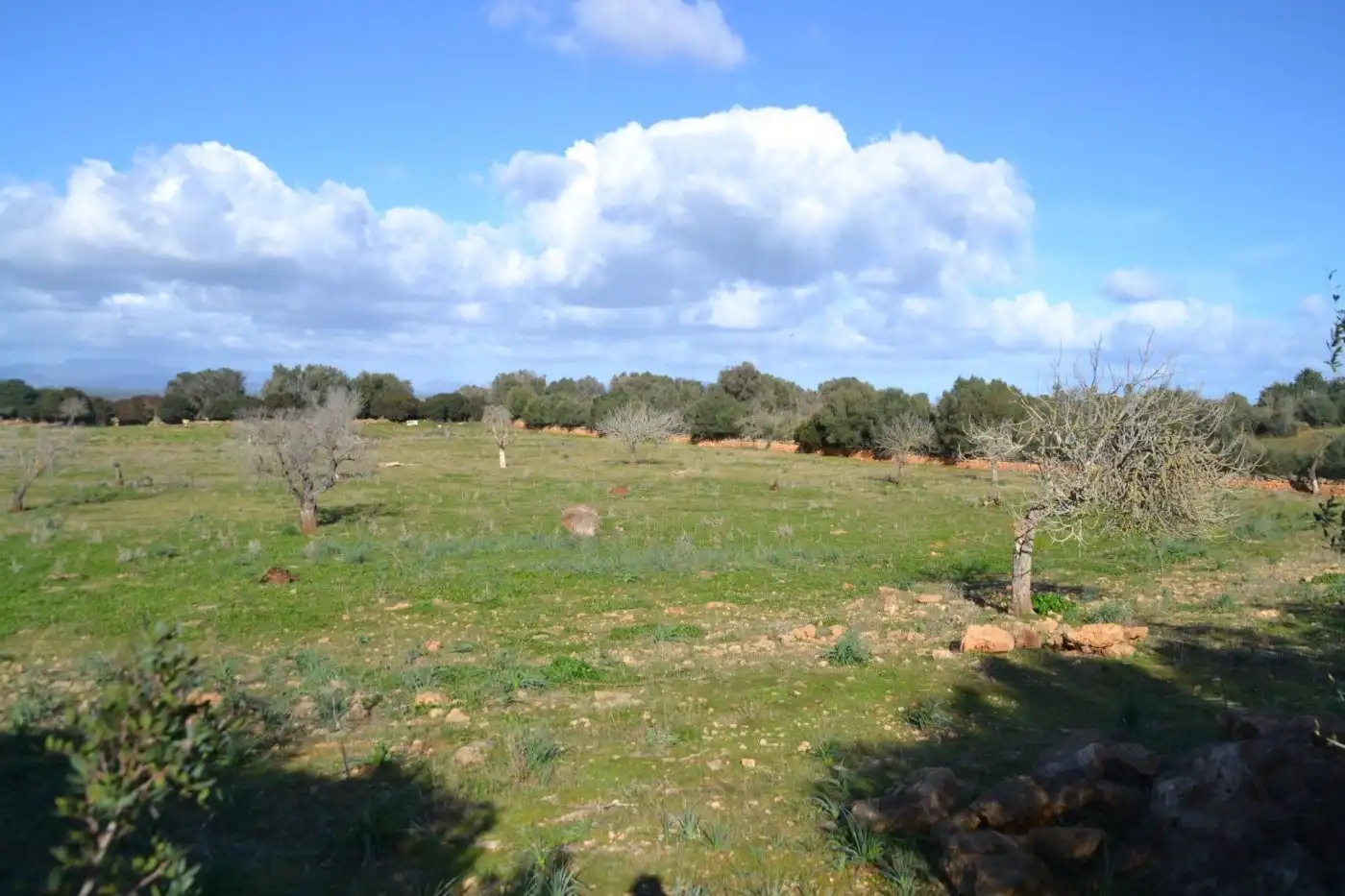 Maison rustique à vendre à Manacor Centre, imagen 12
