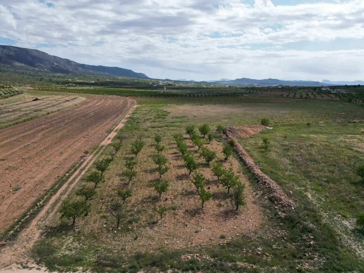Wohnbaugrundstück zum Verkauf in El Pinós / Pinoso, imagen 2