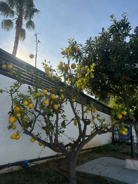 Villa con piscina in vendita a Miami Platja, imagen 16