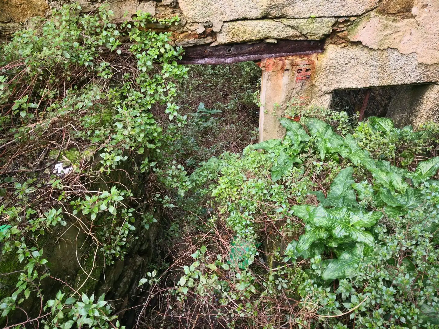 Terreni e lotti in vendita a Malpica de Bergantiños, imagen 11