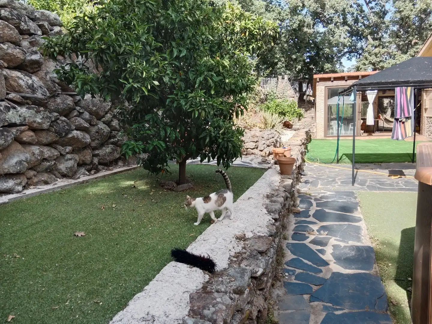 Garden of Houses for sale in Torremenga  with Heating, Private garden and Terrace
