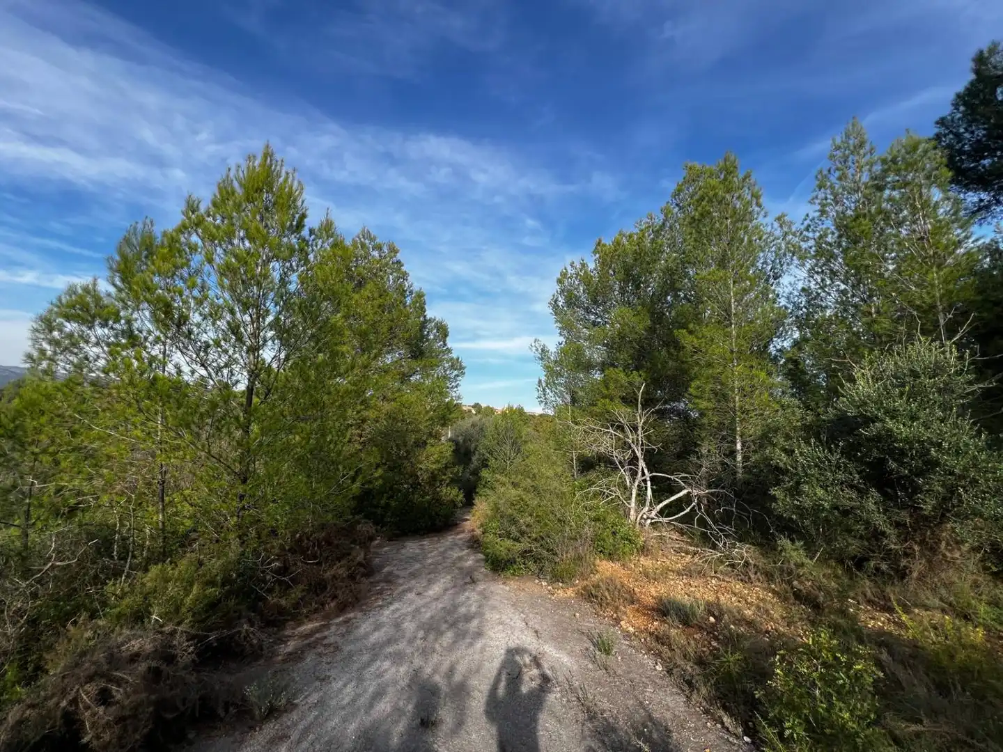 Residential for sale in Sant Joan de Moró