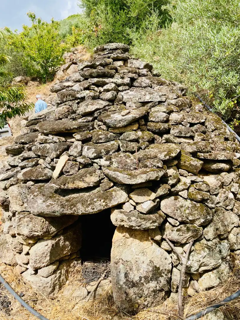 Terrain rustique à vendre à N/A, imagen 17