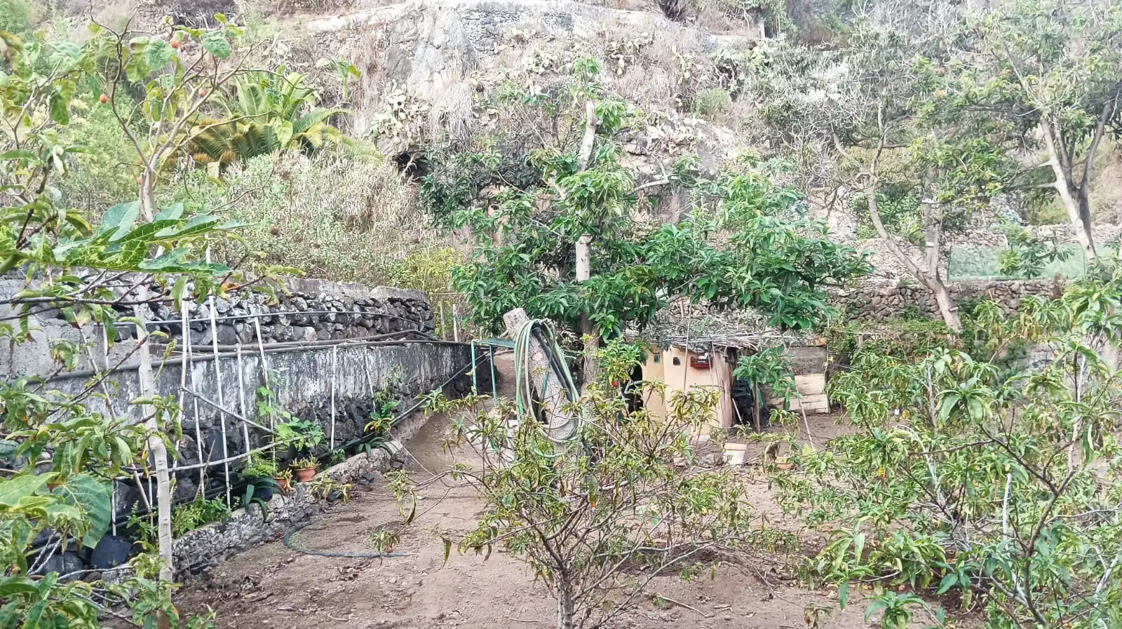 Rural land for sale in Icod de los Vinos pueblo, imagen 7