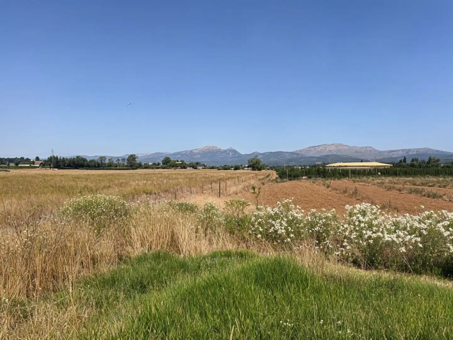 Houses for rent in Muro  with Heating, Private garden and Storage room
