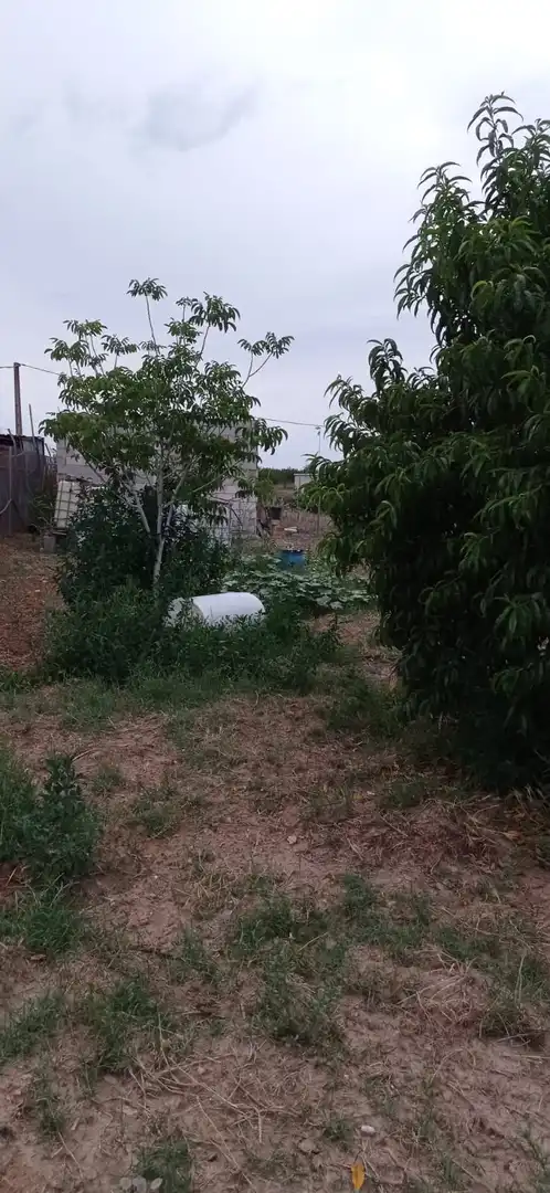 Terreny rústic en venda a La Algaba, imagen 5