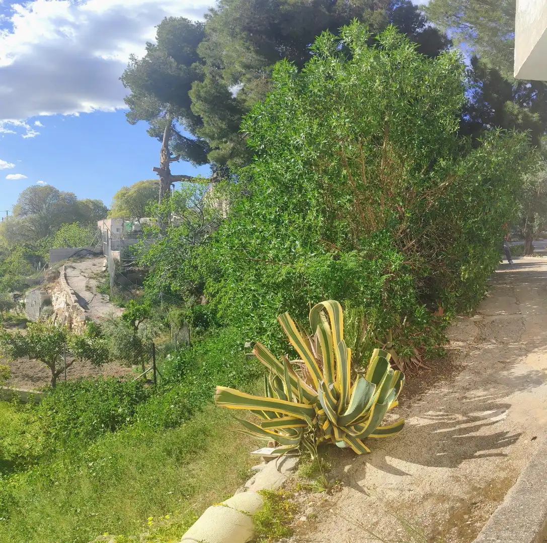 Jardín de Casa o chalet en venta en Fines