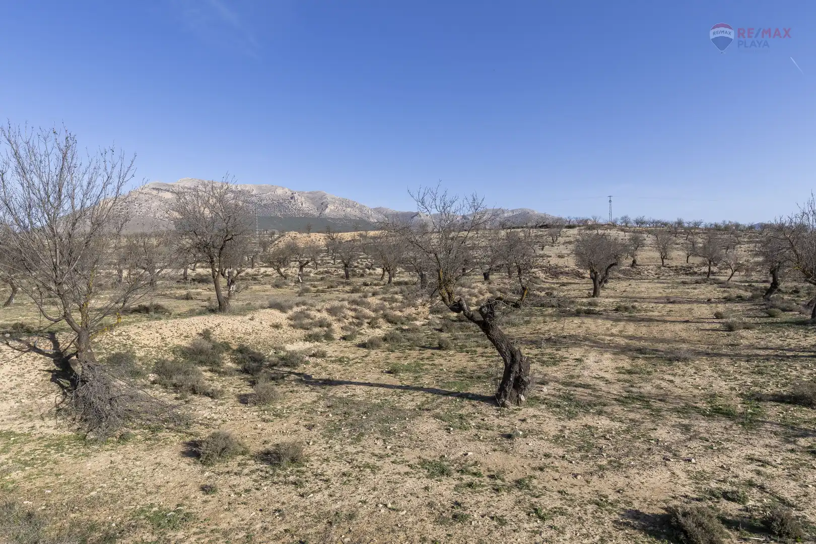 Rural land for sale in Paraje el Vivero 1, imagen 14