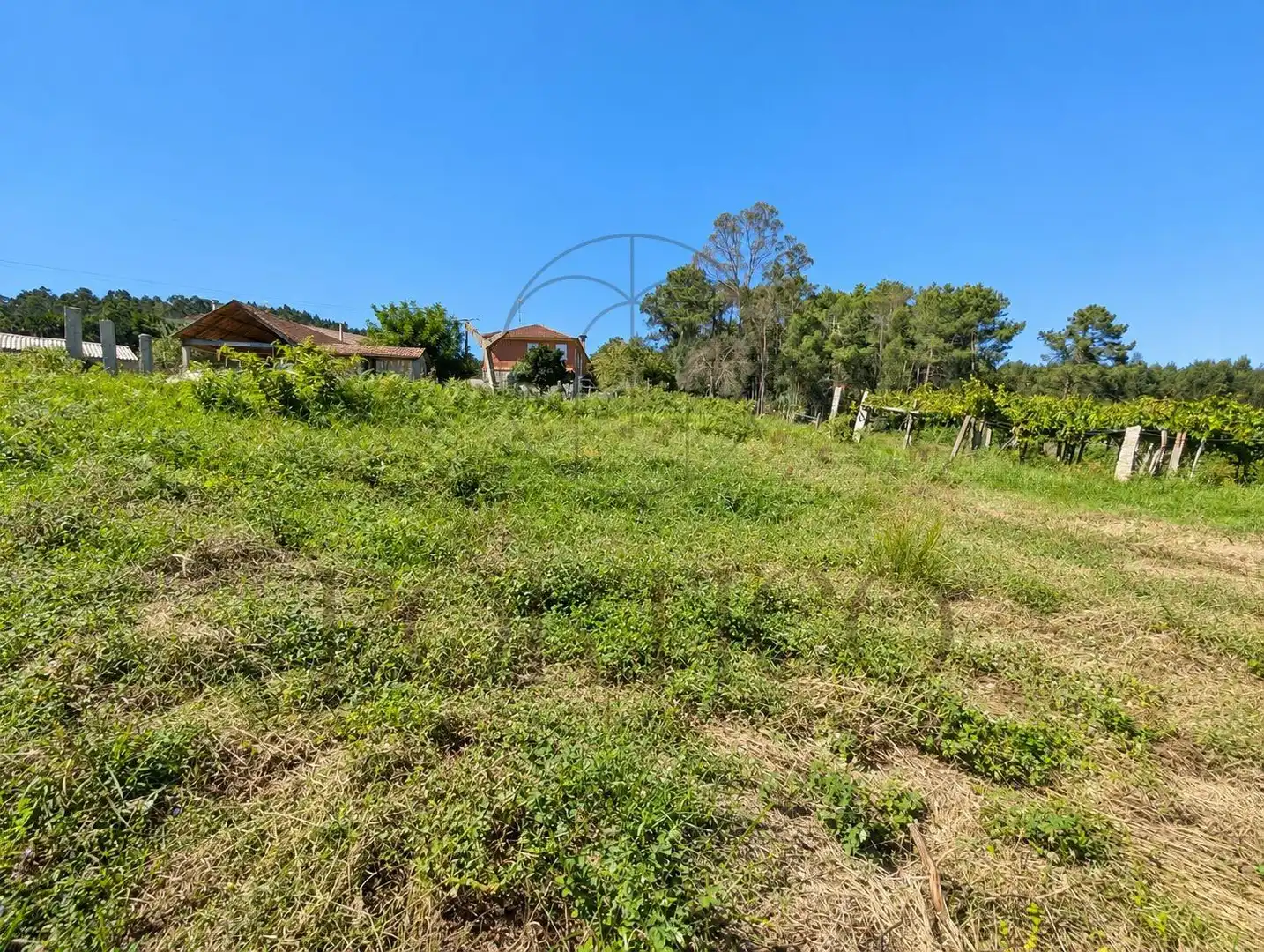 Residential land for sale in Salceda de Caselas, imagen 3