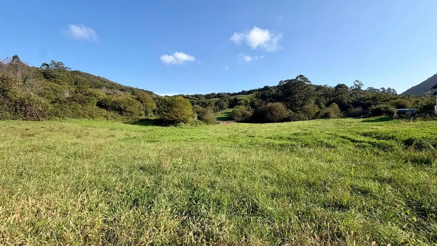 Lands and plots for sale in El Callejo - La Pesquera - La Arenosa