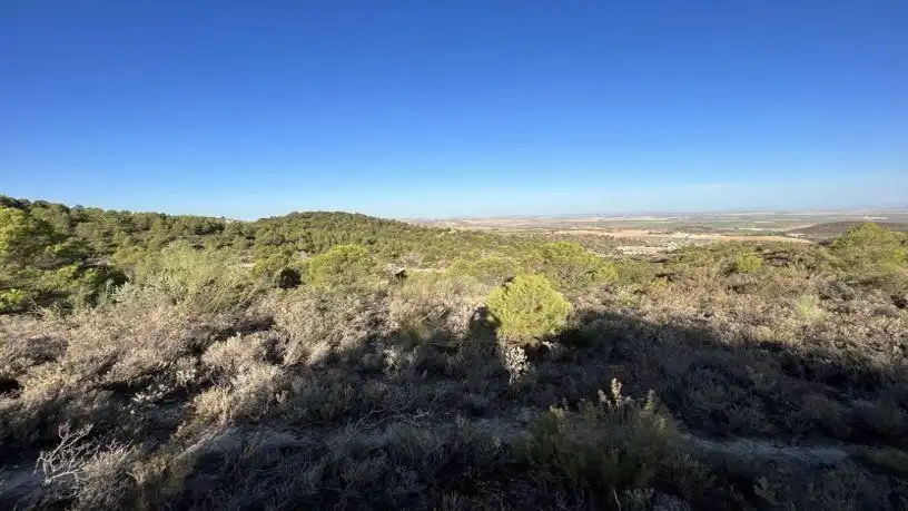 Finca rústica en venta en San Antonio O Guardarropa Pol 115.par 8,9 y 15, Osuna