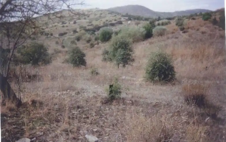 Rustikales Grundstück zum Verkauf in Lúcar, imagen 8