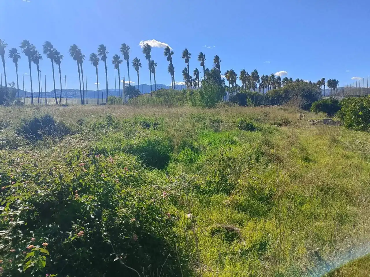 Terreno en venta en Oliva