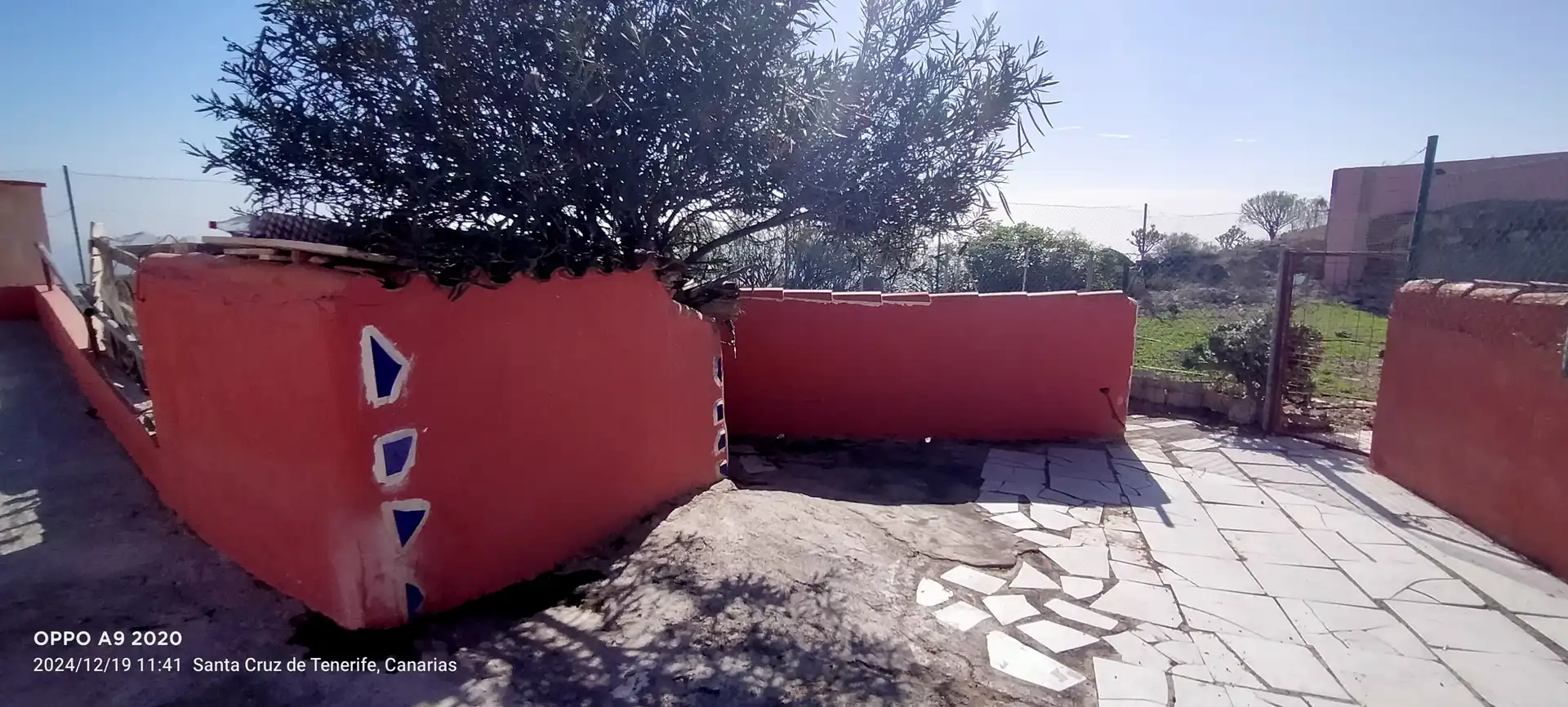 Jardí de Finca rústica en venda en Güímar amb Calefacció, Jardí privat i Terrassa