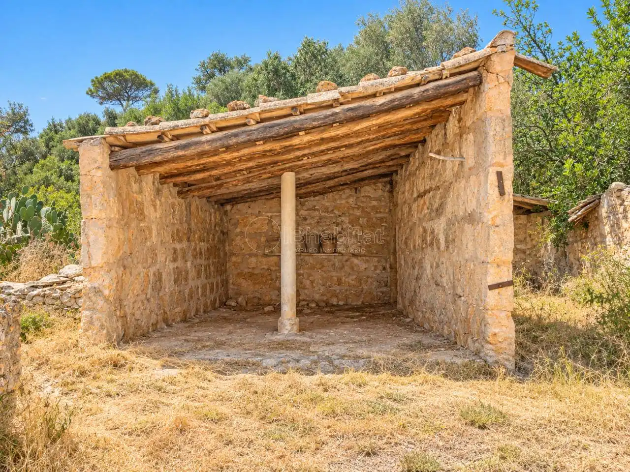 Terreny rústic en venda a Sineu, imagen 25