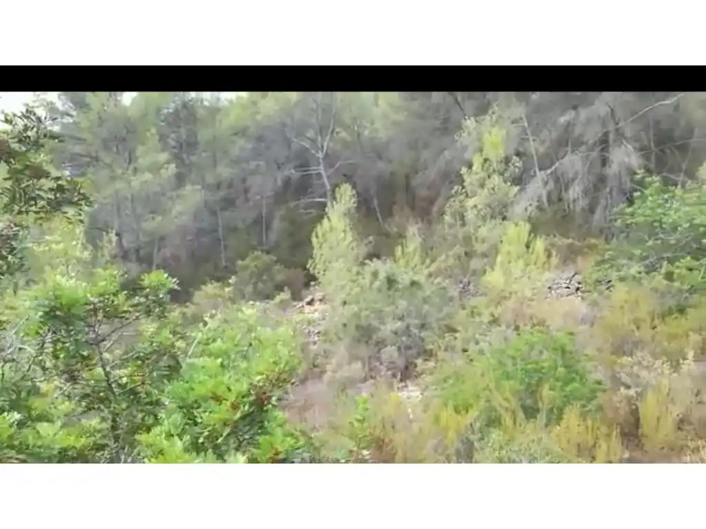 Terreny rústic en venda a Sant Antoni de Portmany, imagen 3