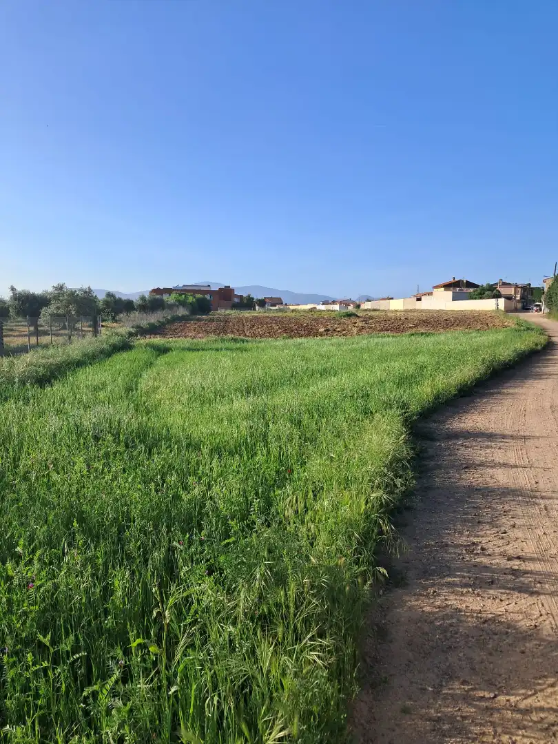 Terreny residencial en venda a Cazalegas, imagen 4