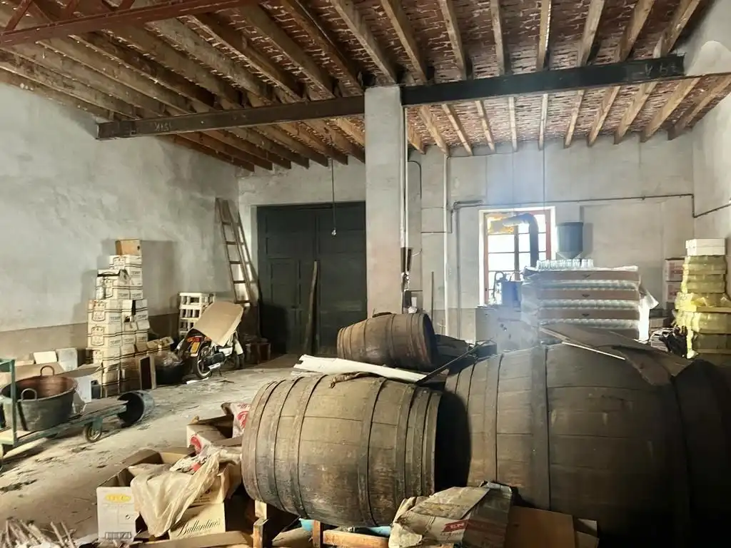 Industriegebäude zum Verkauf in Novelda, imagen 19