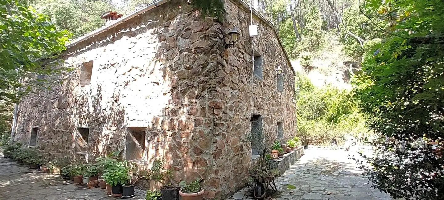 Vista exterior de Finca rústica en venta en Arbúcies con Jardín privado, Terraza y Amueblado