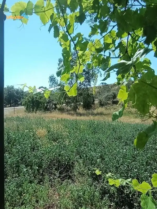 Habitatge en venda a La Codosera, imagen 19