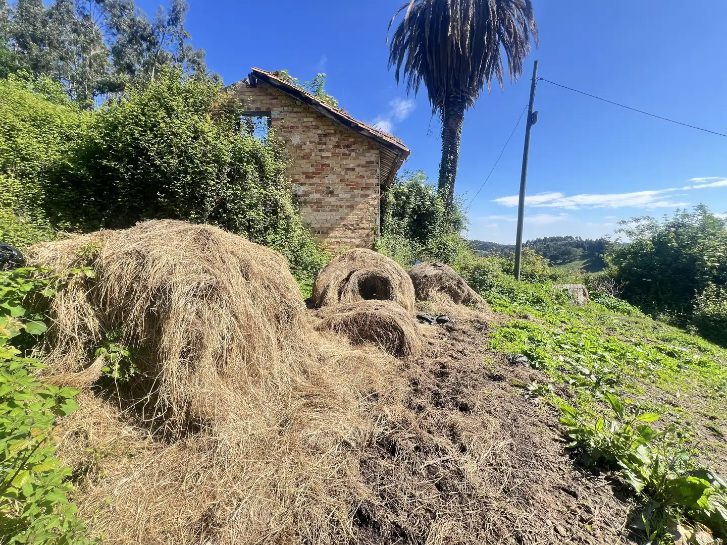 Garden of Detached homes for sale in Castrillón