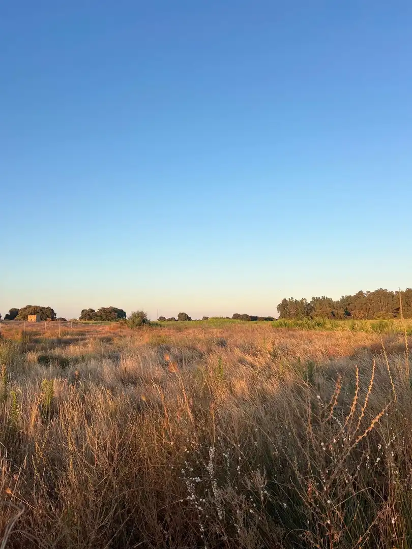 Terreny rústic en venda a Pedanías Norte, imagen 22