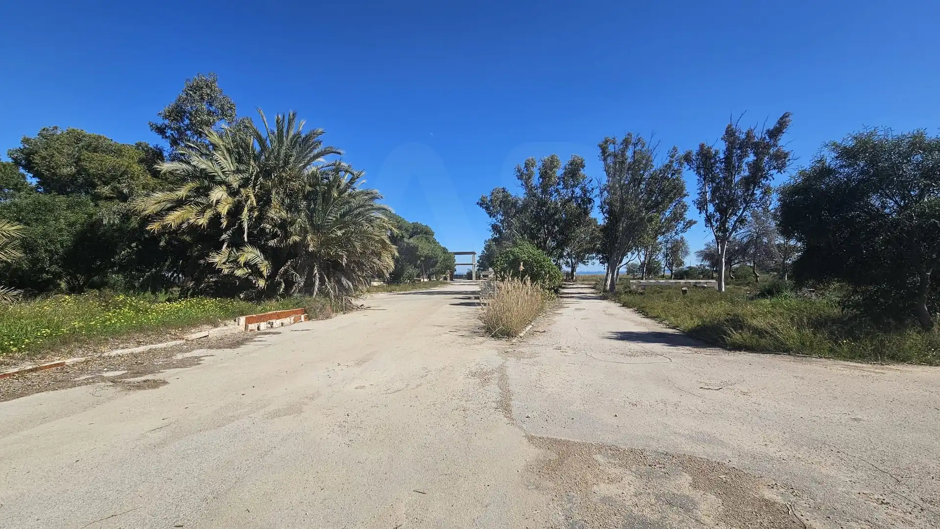 Terrenos y solares en venta en Mar Menor de Cartagena – Cabo de Palos, imagen 14