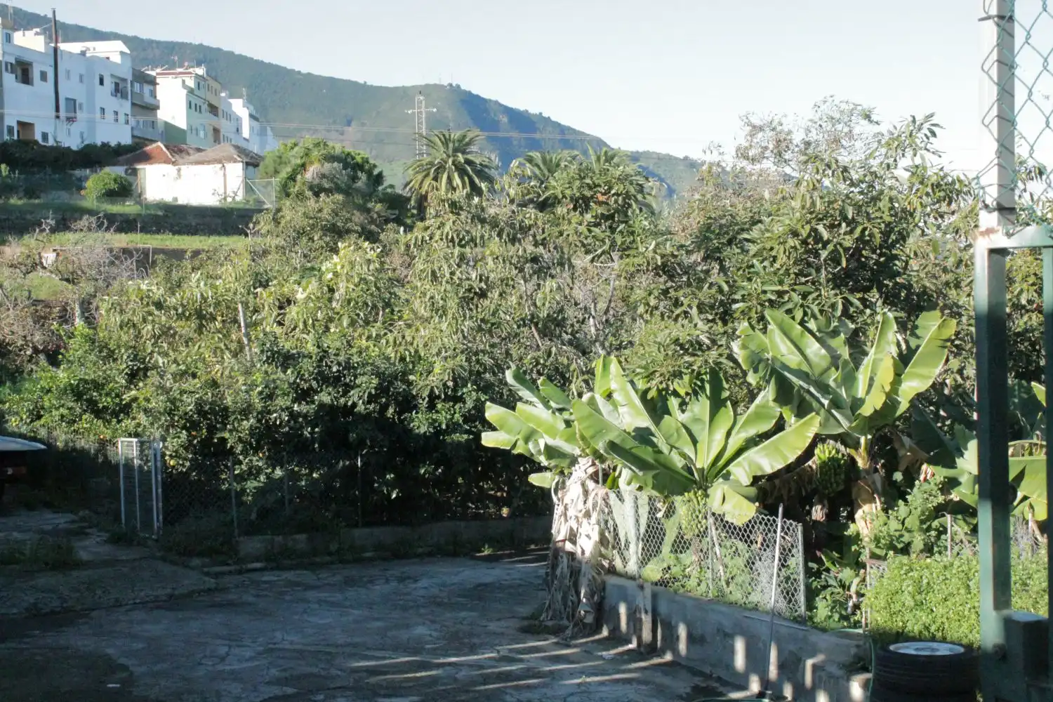 Jardín de Casa o chalet en venta en Los Realejos con Balcón