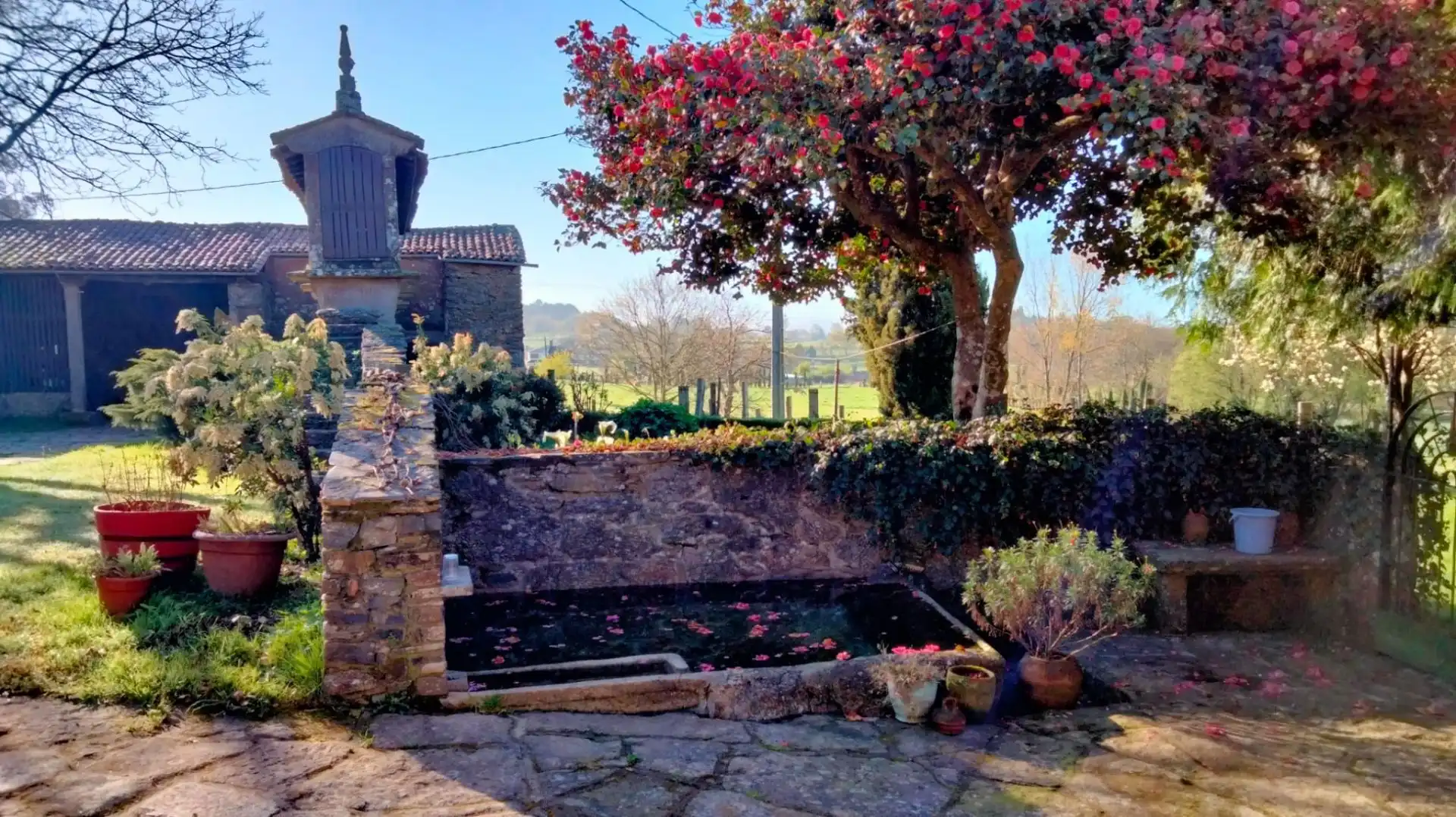 Jardín de Casa o chalet en venta en Melide con Calefacción, Jardín privado y Terraza