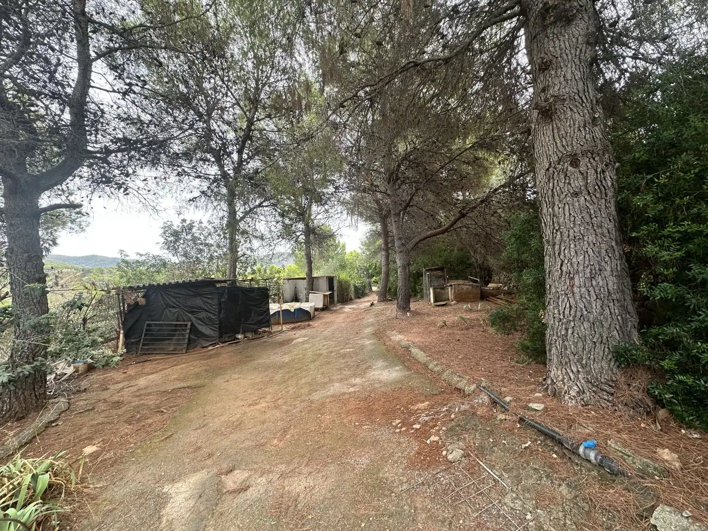 Xalet amb piscina en venda a Algar de Palància, imagen 8