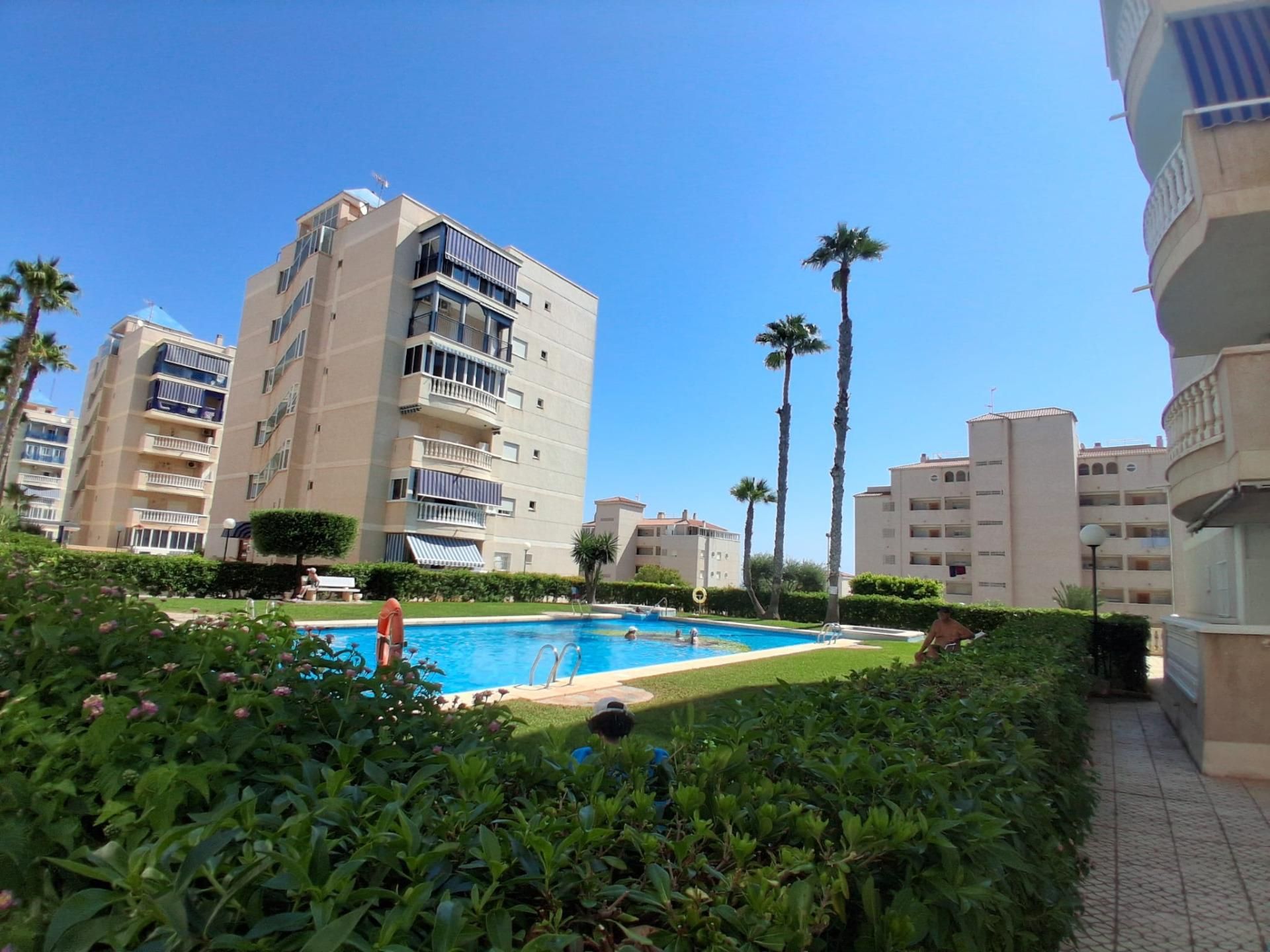 Swimming pool of Flat for sale in Elche / Elx