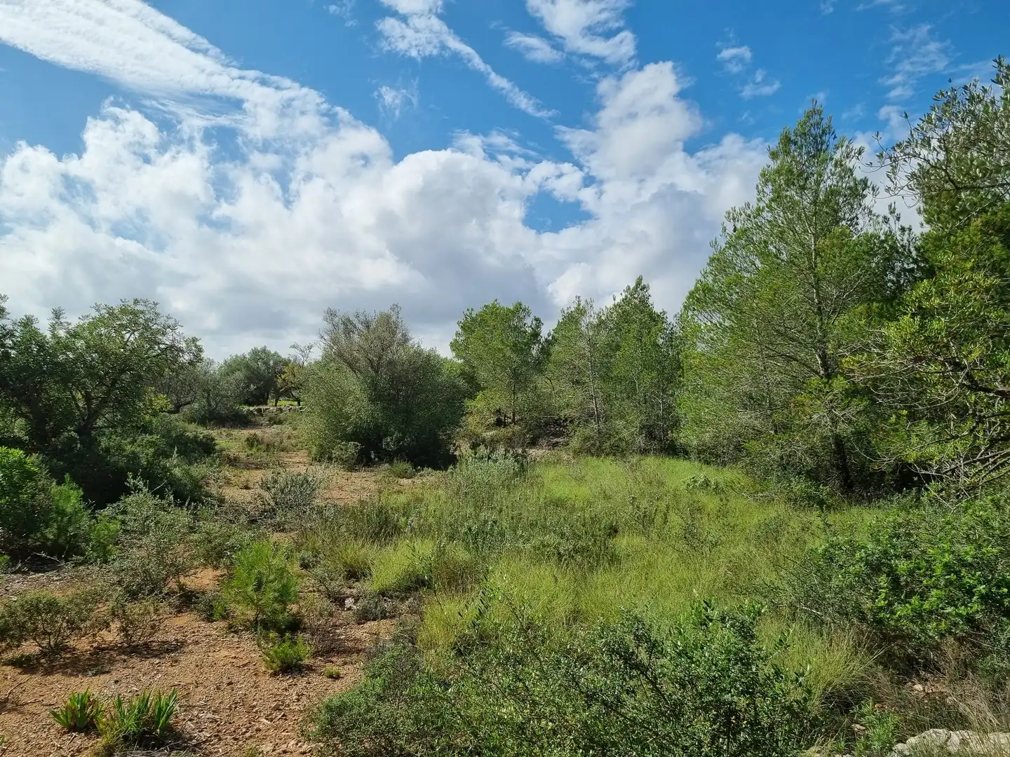 Terrain rustique à vendre à Carrer Andreu Llambrich 48, imagen 14