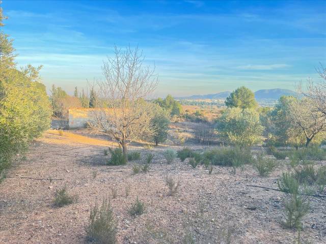 Terreno en Venta en DISEMINADOS (P-27), 238, -1 en Vilamarxant