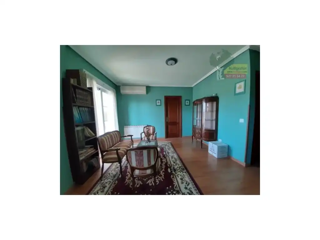 Sala d'estar de Casa o xalet en venda en Cáceres